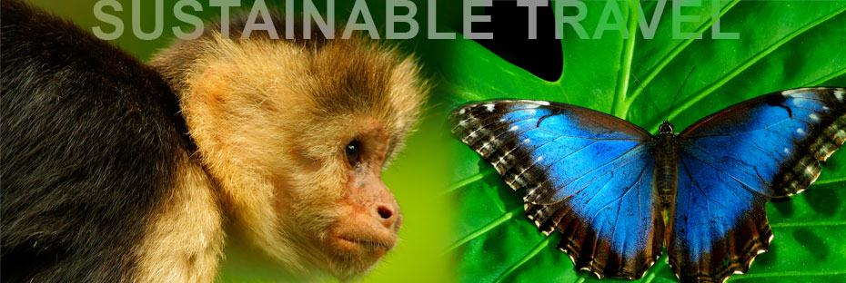 Customized travel experiences in Costa Rica