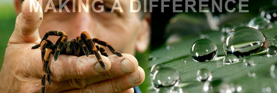Customized travel experiences in Costa Rica